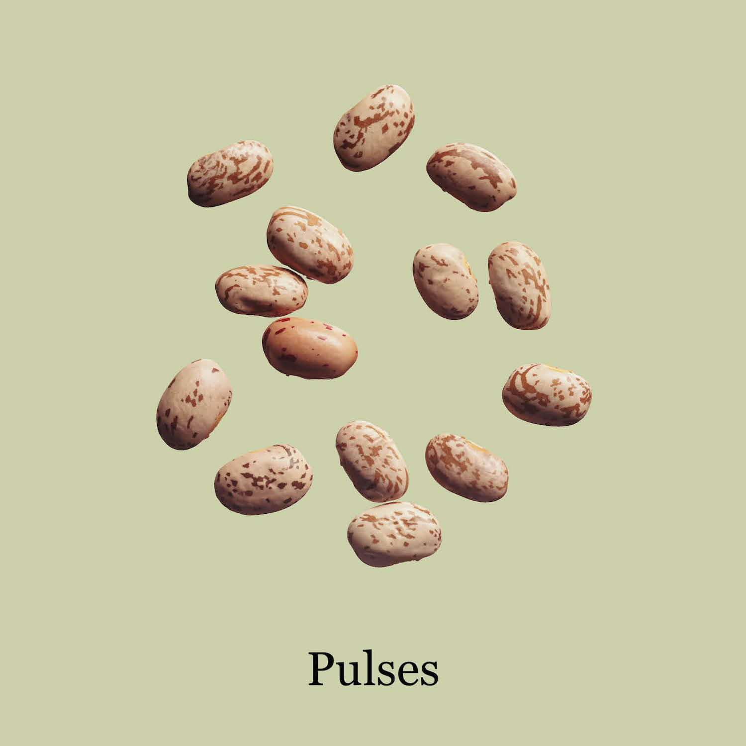 Warenrunde: PULSES